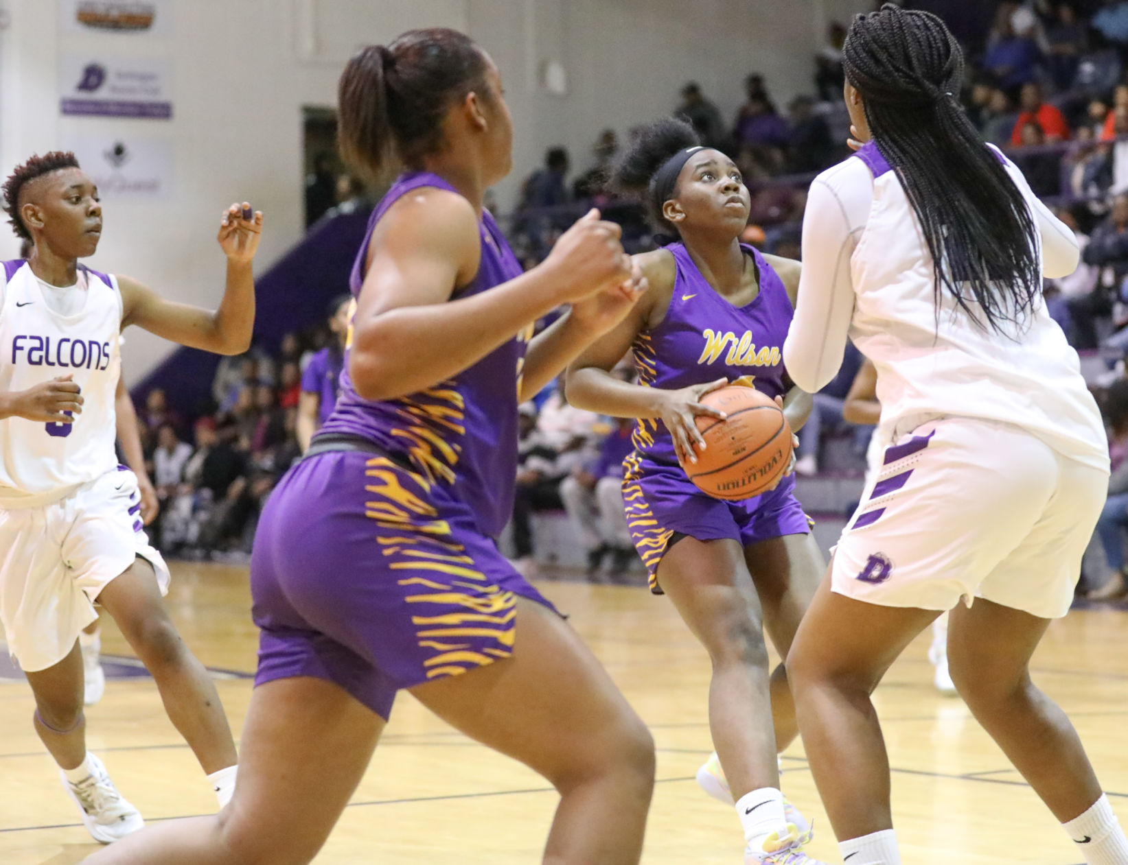 Wilson at Darlington Basketball